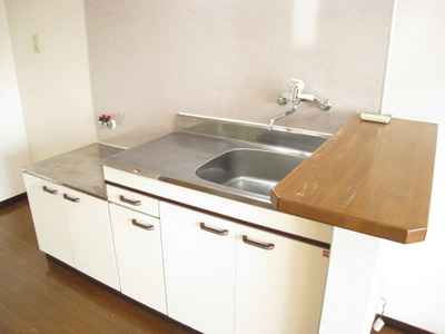 Kitchen. Gas stove installed Friendly Kitchen! Convenient counter kitchen