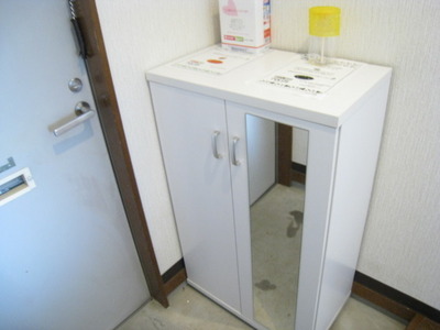 Entrance. Entrance shoes BOX is the mirror with