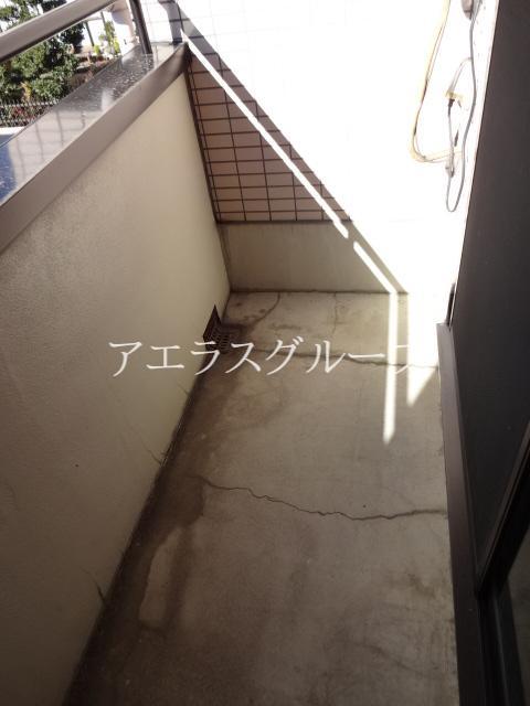 Balcony. Washing thing is easy to dry south balcony