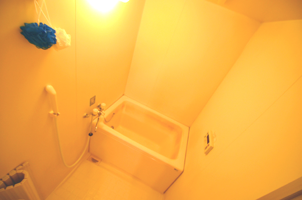 Bath. Clean bathroom with a reheating