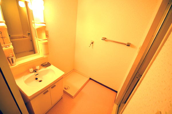 Washroom. It established the shampoo dresser!