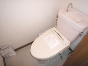 Toilet. Toilet