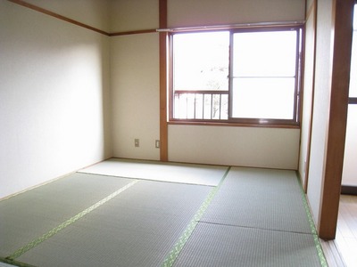 Living and room. Sunny