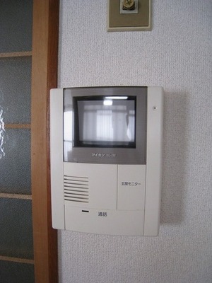 Security. TV monitor with a phone of peace of mind