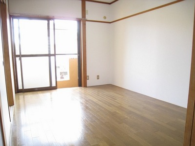 Living and room. South-facing sunny