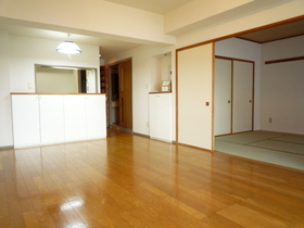 Living and room. Bright living.