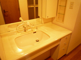 Washroom. Large vanity