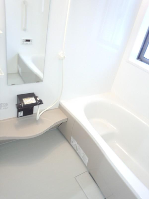 Bathroom. Indoor (10 May 2013) Shooting