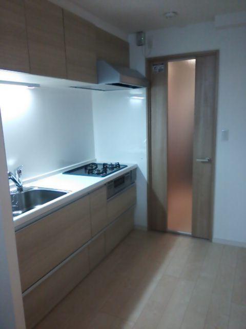 Kitchen. Indoor (12 May 2013) Shooting