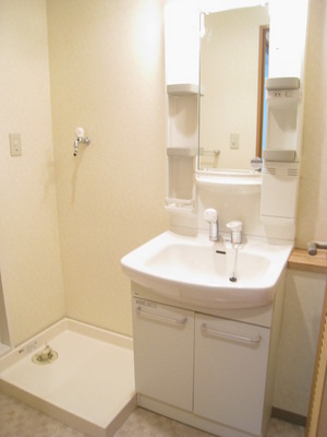 Washroom. Shampoo dresser