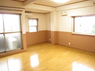 Living and room. The top floor angle room dihedral daylight