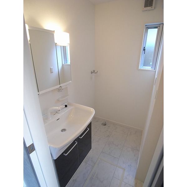 Washroom. Shampoo dresser