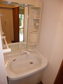 Washroom. Independence is a wash basin