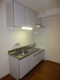 Kitchen. Two-burner gas stove can be installed