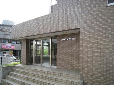 Entrance. Stylish tiled