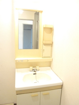 Washroom. Easy-to-use shampoo dresser