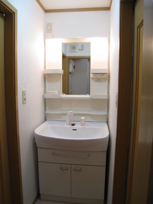 Washroom. Convenient shampoo dresser also busy morning