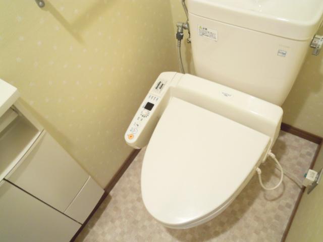 Toilet. Toilet is with a bidet.