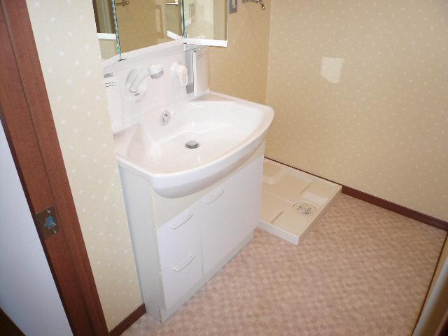 Washroom. There is a separate wash basin shower.