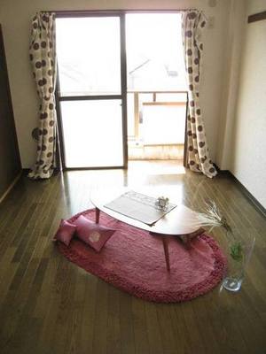 Living and room. South-facing balcony