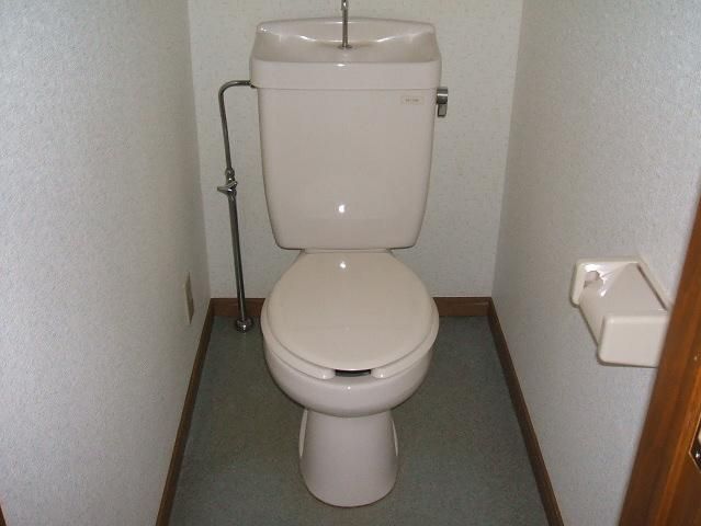 Toilet. This is a sample photo of another in Room.