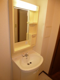 Washroom. There washbasin independent