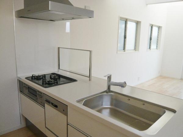 Kitchen. Indoor (11 May 2013) Shooting