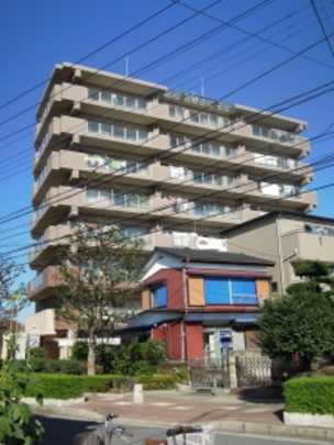 Local appearance photo. appearance
