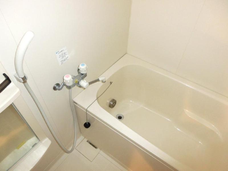 Bath. With clean bathtub, With reheating glad to family