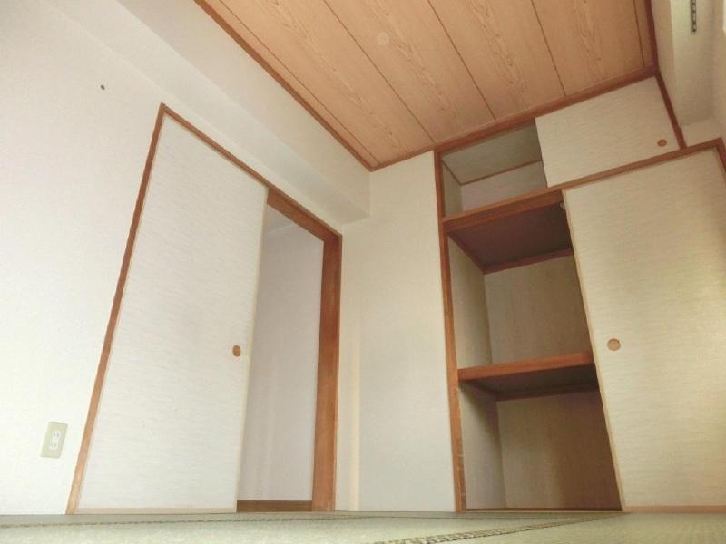 Other. You can plenty of storage in with upper closet