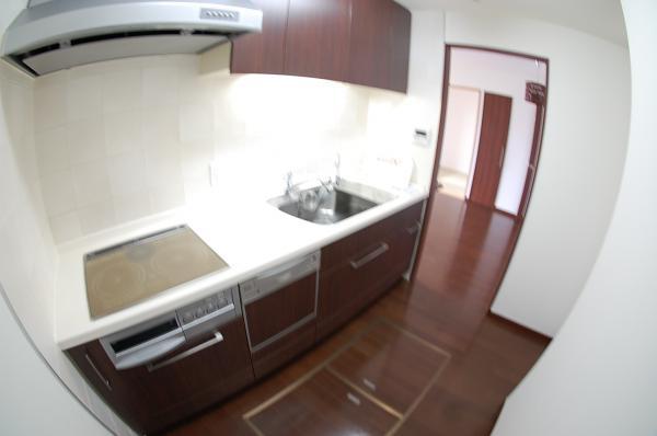 Kitchen. Dishwasher built-in system kitchen