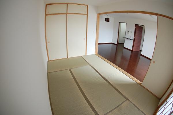 Non-living room. Japanese-style room that follow from living