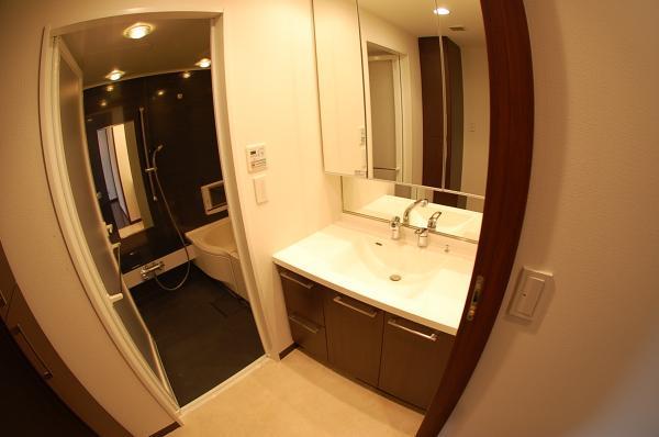 Wash basin, toilet. Wash basin with a shower of big success in the morning of the dressing