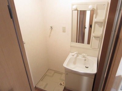 Washroom. Independent wash basin with