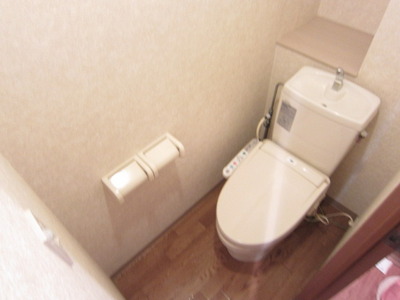 Toilet. With warm water washing toilet seat