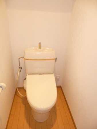 Toilet. Shampoo dresser