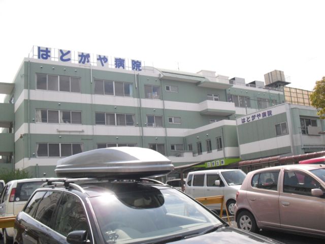 Hospital. Hatogaya 700m to the hospital (hospital)