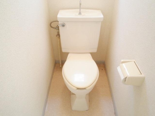 Toilet. Relaxed some toilet space