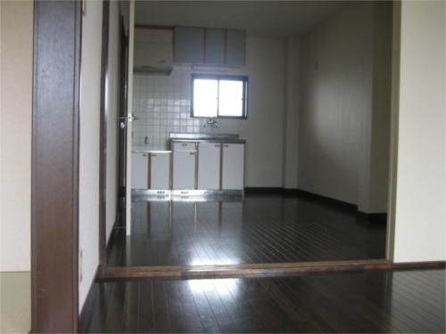 Living and room. Living