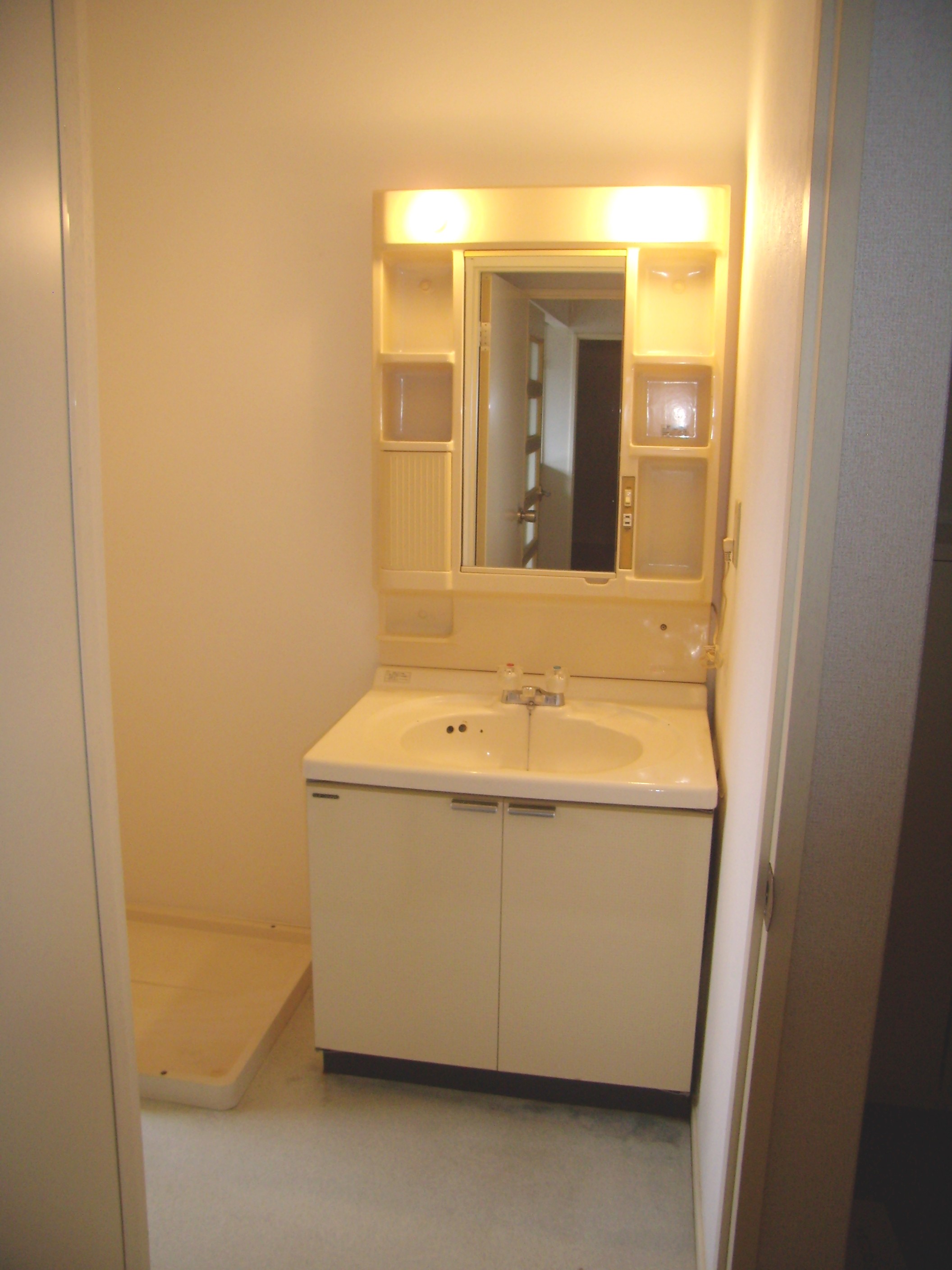 Washroom. Bathroom vanity