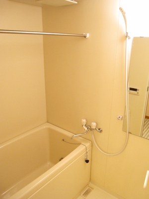 Bath. Mirror with bus