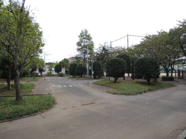 park. 480m until the turf children traffic park (park)