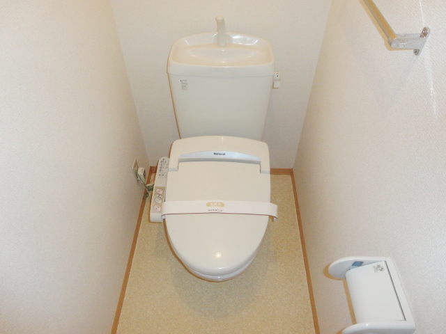 Toilet. Hot to space