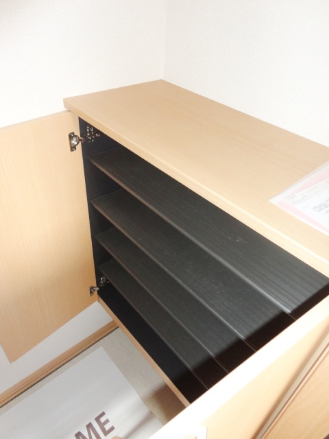 Entrance. Do you put the kind of shoes?