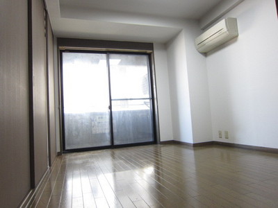 Other room space. Convenient bedroom, which is connected with the living