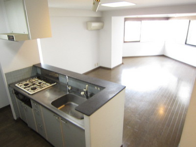 Living and room. Fashionable and convenient counter kitchen