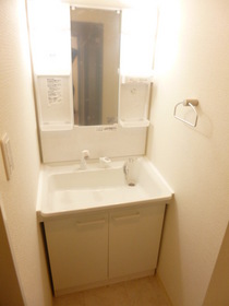 Washroom. Shampoo is vanity