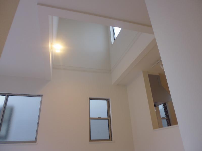 Living. Indoor (12 May 2013) living with shooting blow