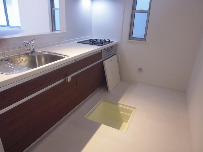 Kitchen. Indoor (12 May 2013) Shooting