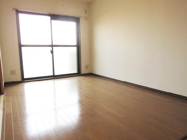 Living and room. South-facing bright rooms. 